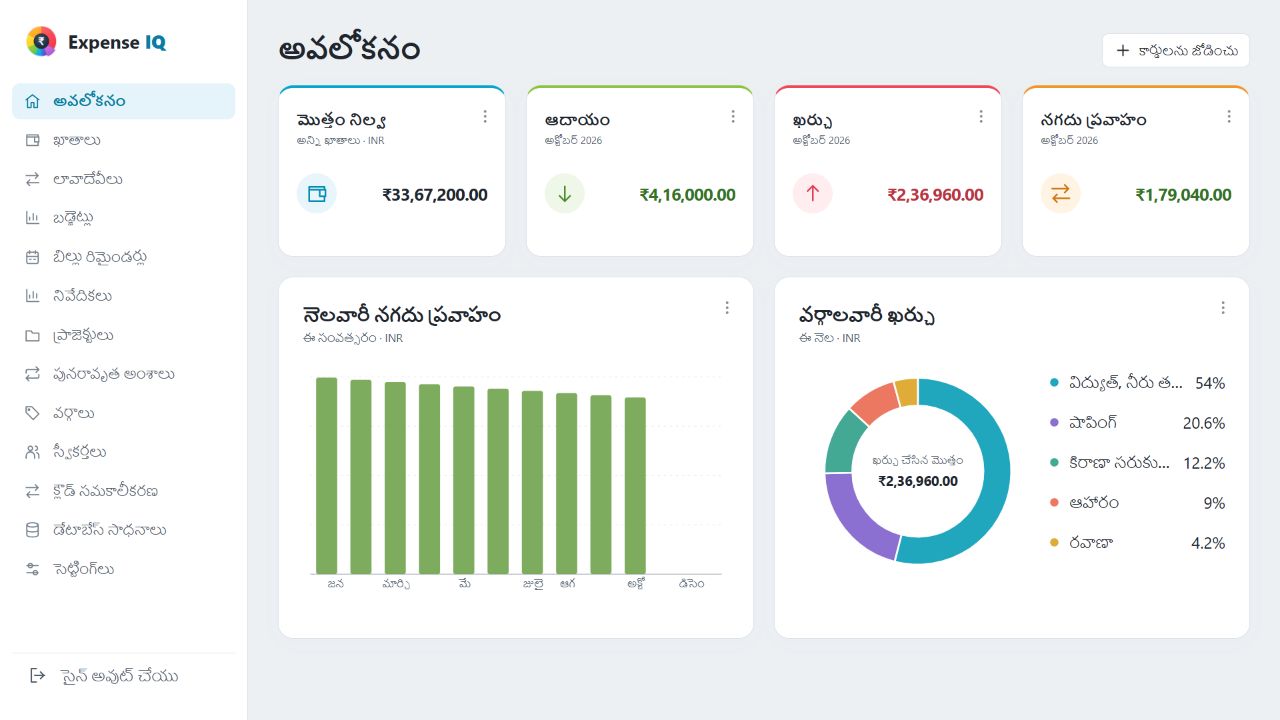 ఖాతాలు, నగదు ప్రవాహం, ఖర్చు వర్గాలతో Expense IQ వెబ్ డ్యాష్బోర్డ్