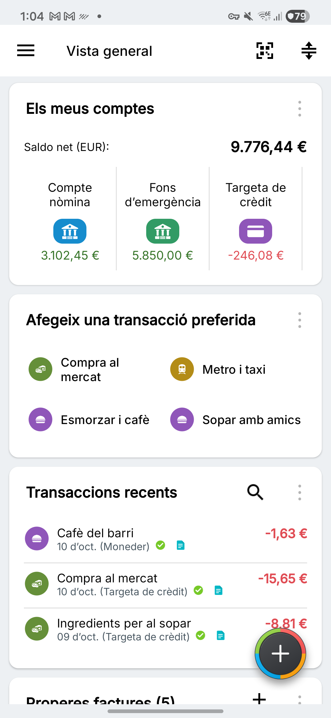 Resum amb comptes corrents, estalvis i targetes de crèdit ficticis