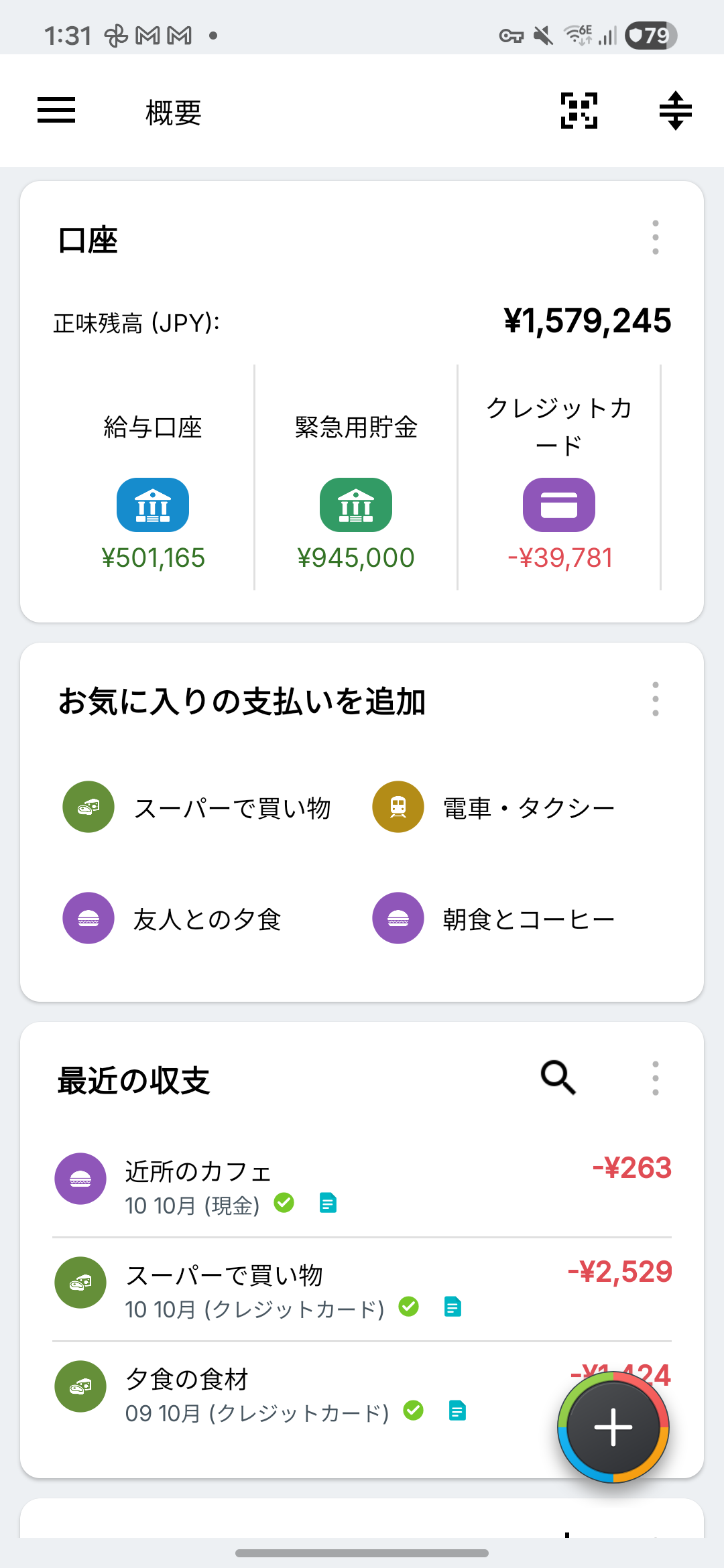 架空の日本円の銀行口座、貯蓄、クレジットカードを表示したExpense IQの概要画面
