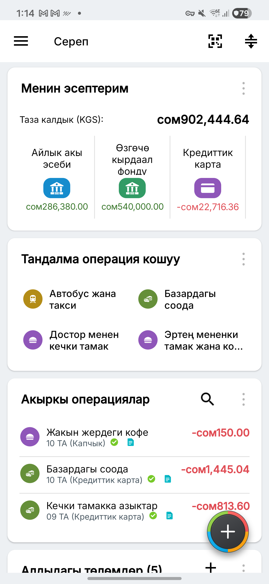 Ойдон чыгарылган учурдагы, топтоо жана кредиттик карта эсептери менен Expense IQ көрүнүшү