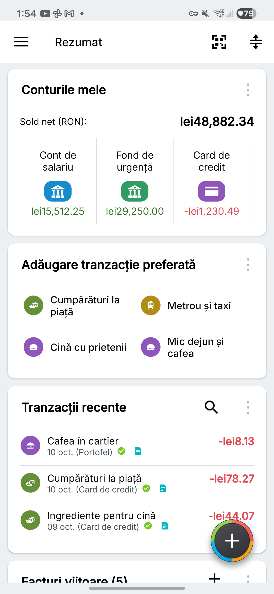 Prezentare cu conturi curente, economii și carduri de credit fictive
