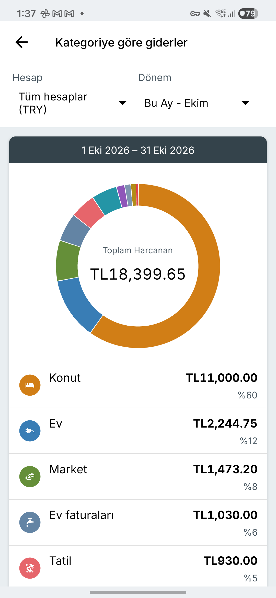 Expense IQ harcama raporları ekranı